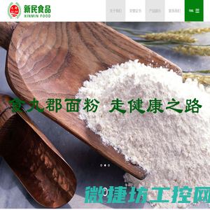 五原县新民食品有限责任公司