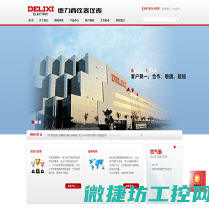 德力西仪器仪表有限公司