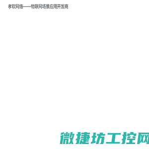 孝软网络