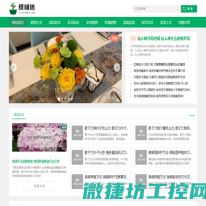 绿植迷