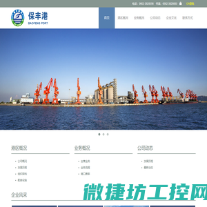 广东保丰港务有限公司