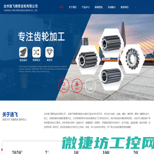 台州逸飞精密齿轮有限公司
