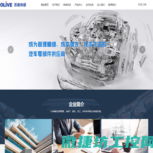 江苏奥力威传感高科股份有限公司