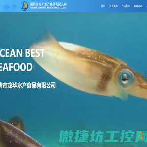 福清市龙华水产食品有限公司
