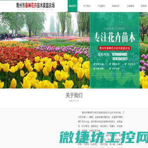 青州时令草花