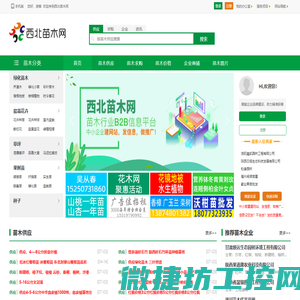 西北苗木网