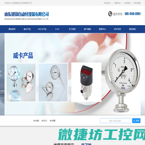 武汉赛拉斯测控仪表有限公司