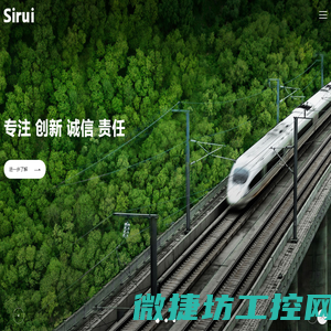 陕西斯瑞新材料股份有限公司