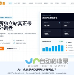奇点数聚