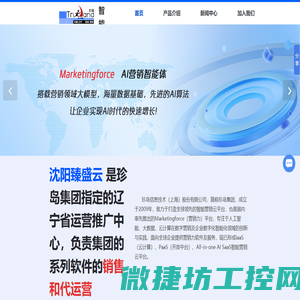 沈阳臻盛云