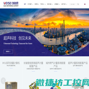 上海中核维思仪器仪表股份有限公司