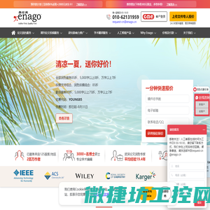 英文润色
