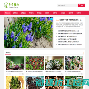 果壳植物
