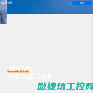 潍坊威龙电子商务科技有限公司